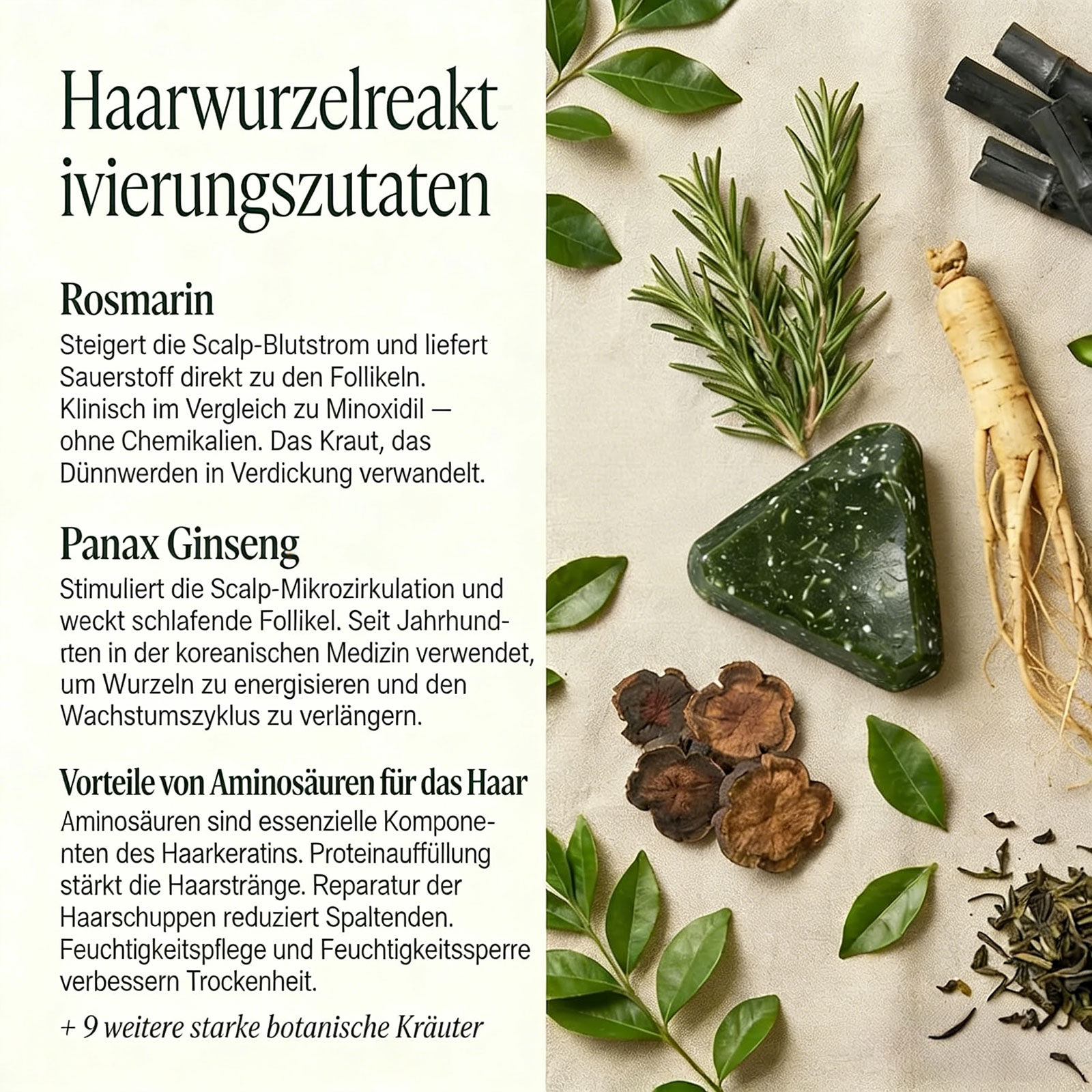 Yoracare Korean Scalp Revival Bar, 2026 Yoracare Rosmarin & Aminosäuren stärkender Anti-Verdünnungs-Shampoo-Riegel, feuchtigkeitsspendende und kopfhautfreundliche Kräuterpflege 80g