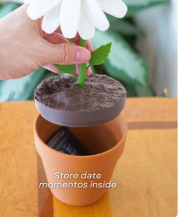 🌸 3D Printed Creative Potted Flower Toy – The 