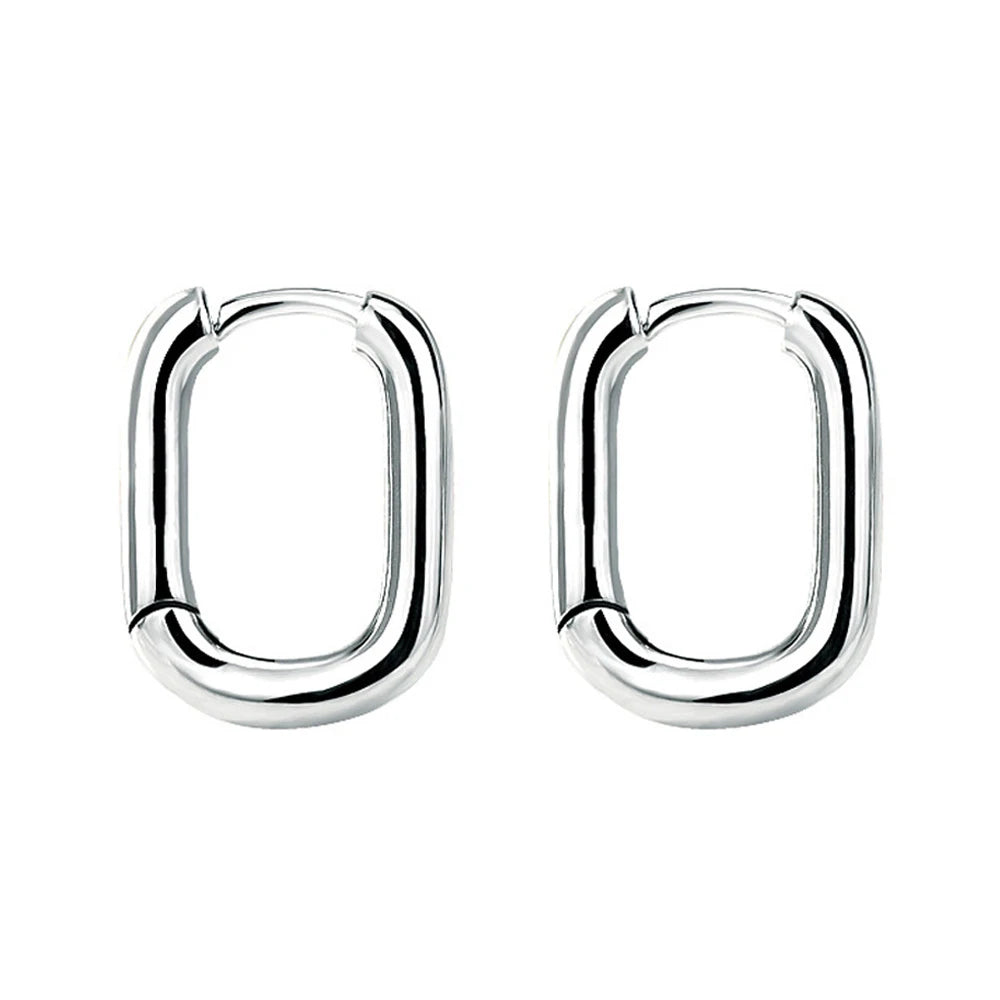 Fanqieliu Solid 925 Sterling Silver Woman's Fashion Jewelry New Hoop Earrings FQL23622