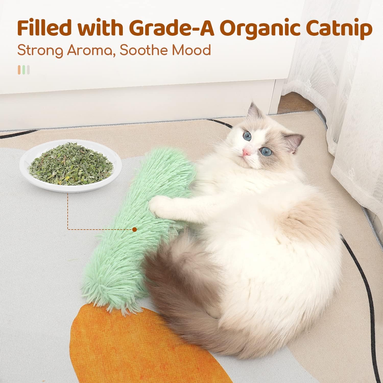 Cat Toys Pillows