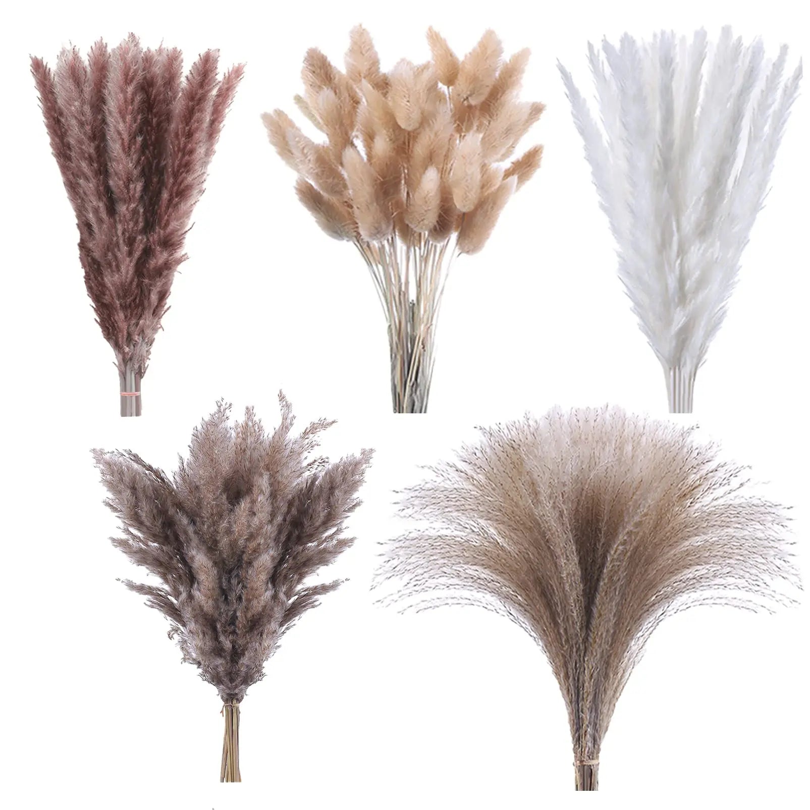 80Pcs Pampas Grass Garden Wedding Decoration Natural Fluffy Dried Flowers Home Vase Decor and Table Accessory Photography Props