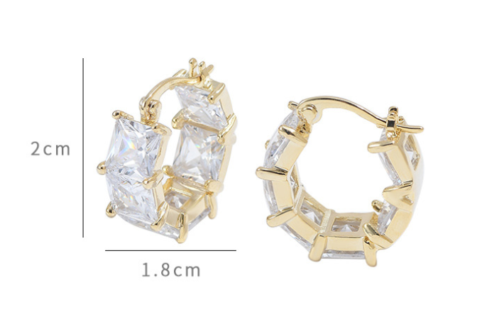 Premium Geometric C-Shaped Earrings