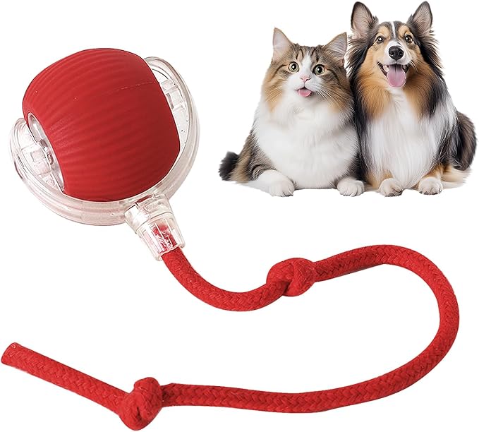 Smart Chase Pet Toy Ball