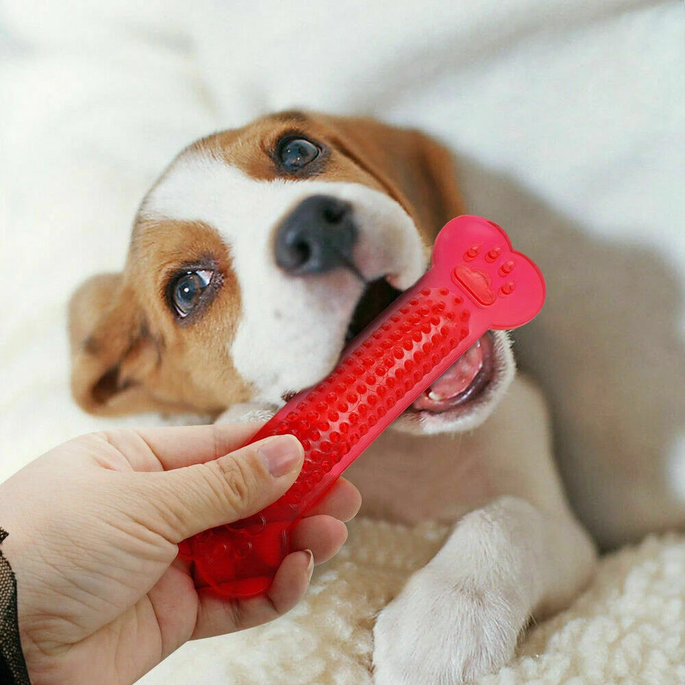 Pet Dog Chew Toys Rubber Bone Toy Aggressive Chewers Dog Toothbrush Dog Pet Toys for Puppy Dental Care for Dog Pet Accessories