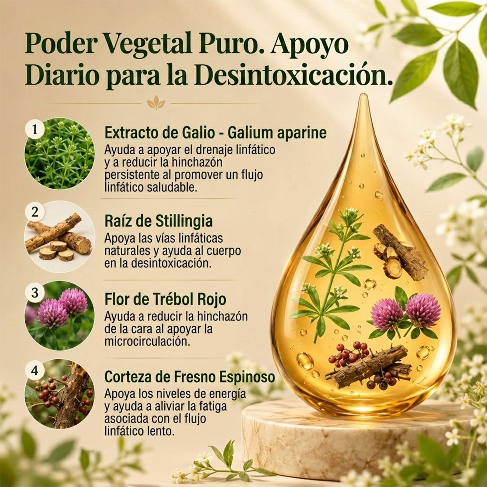 Sonvital Drenaje Linfático Gotas - 60ml Gotas de Drenaje Linfatico para Piernas y Abdomen, Naturales a Base de Hierbas, Sin gluten, para hombres y mujeres