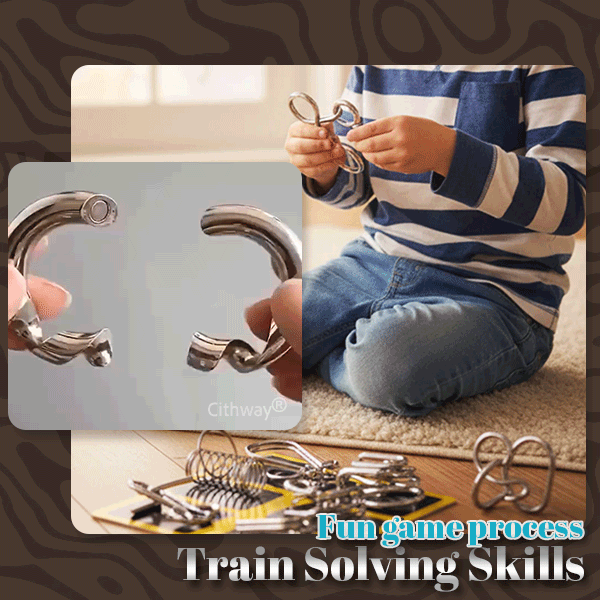 Cithway® 3D Metal Challenge Puzzle Toy