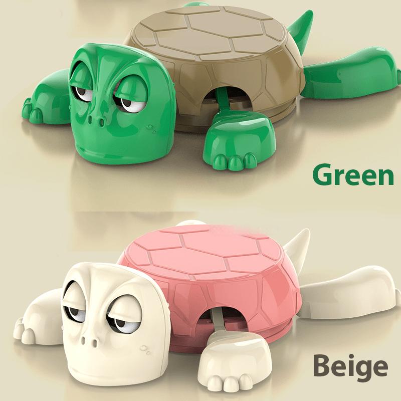 Funny 3D Turtle Coaster
