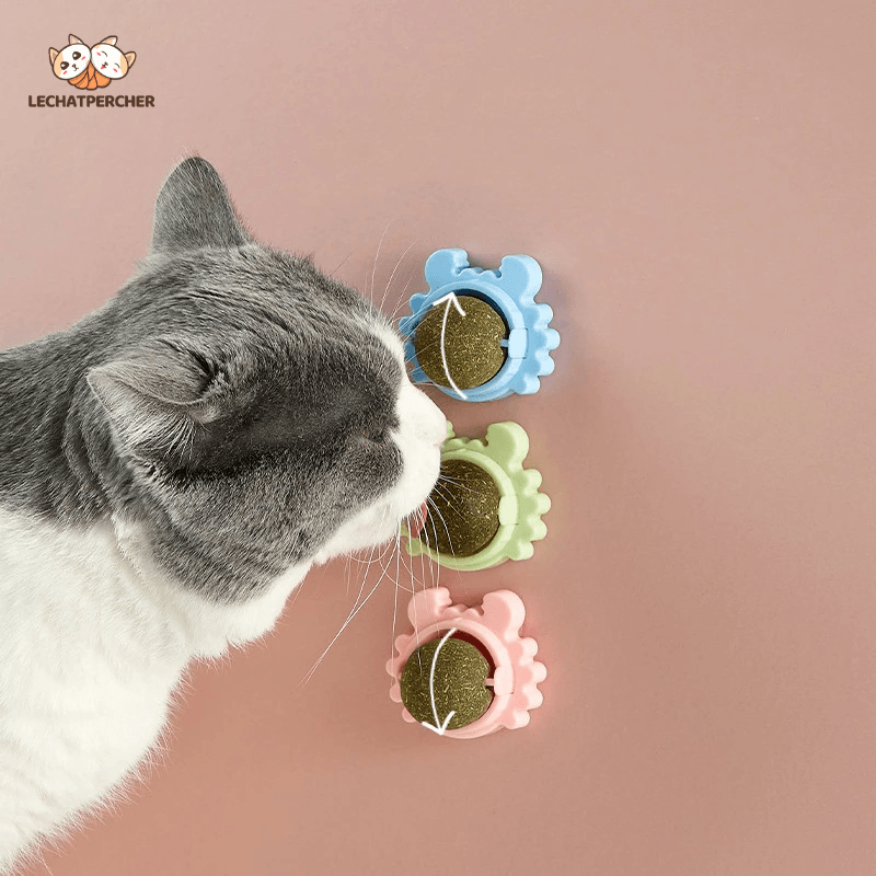 Catnip Wall Ball