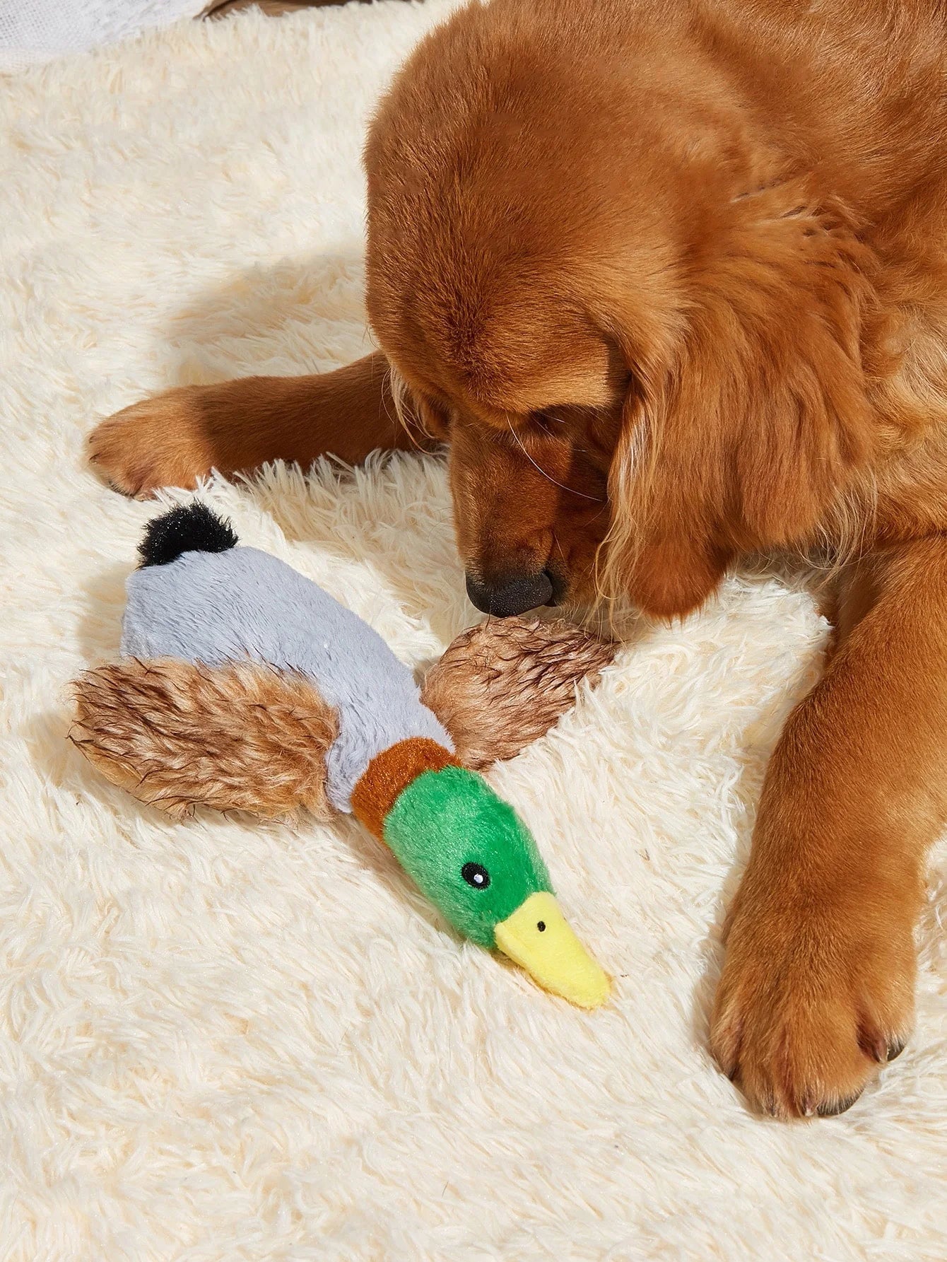 Wild Duck Style Pet Dog Toy Plush Toy Dog Supplies Suitable For All Small Dogs Pet Toys Fun Durable Chewing Teeth