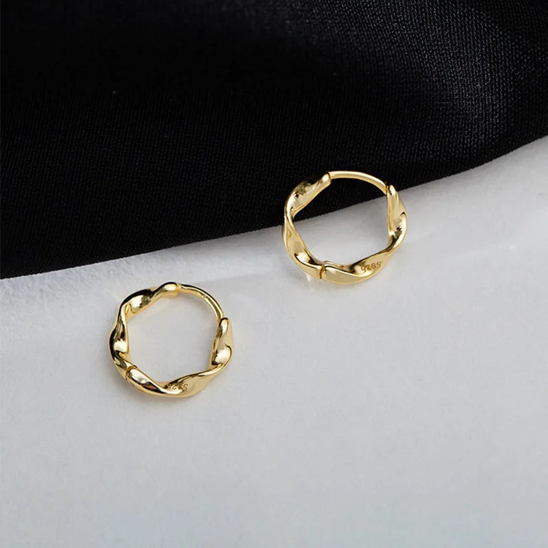 REETI New arrival 925 sterling silver ladies`stud earrings jewelry birthday gift wholesale anti-allergic women jewelry