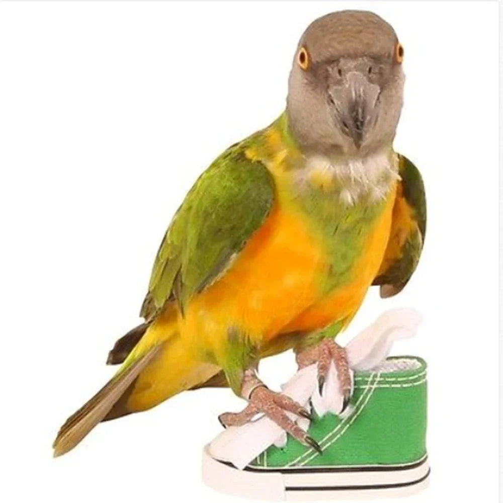 Mini Canvas Shoes Parrot Bird Toys Pet Bird Shoe Cage Decoration Standing Climbing Toy Parrot Bird Cage Pet Shoes Parrot Toys