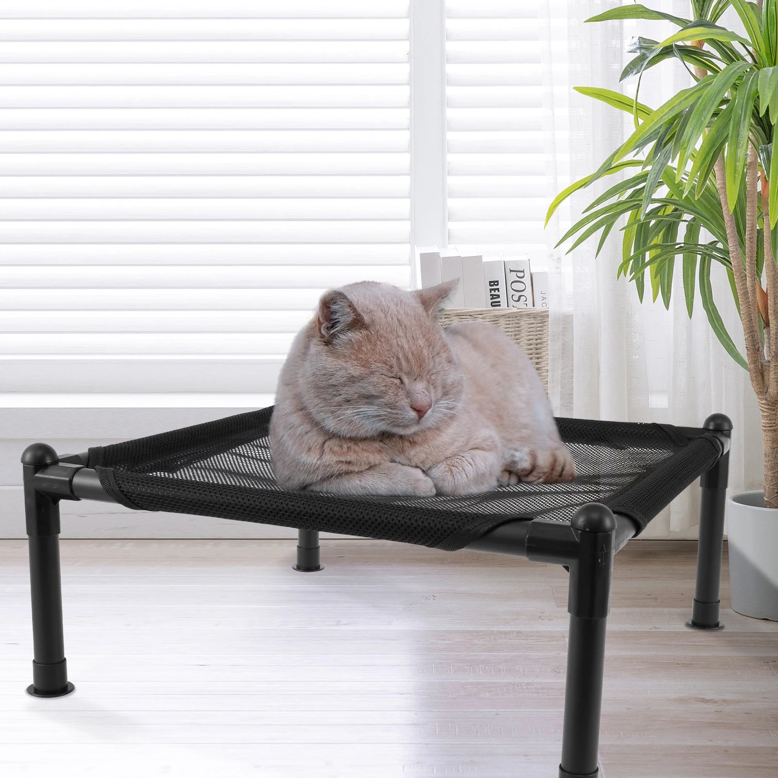 Cat Hammock Bed Adjustable Elevated Pet Wooden Chair Detachable Sisal Scratcher Height Lounge Small Dog Steel Bed