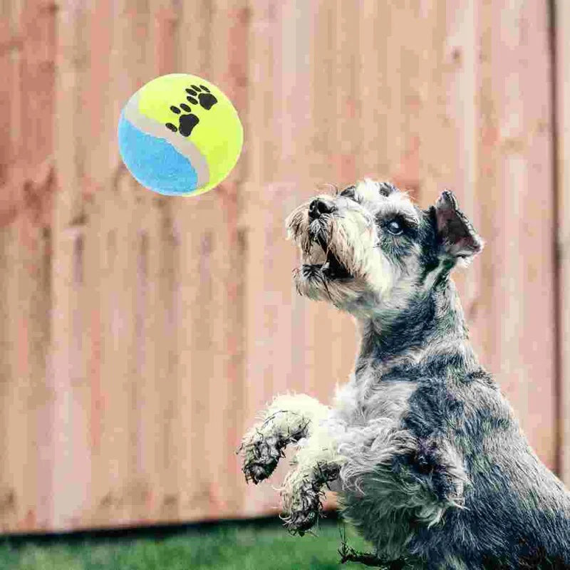 Dog Training Mini Micro Elastic Throwing Tennis Ball Cute Footprint Puppy Cat Chew Safe Balls Soft Small Pets Teething Toys