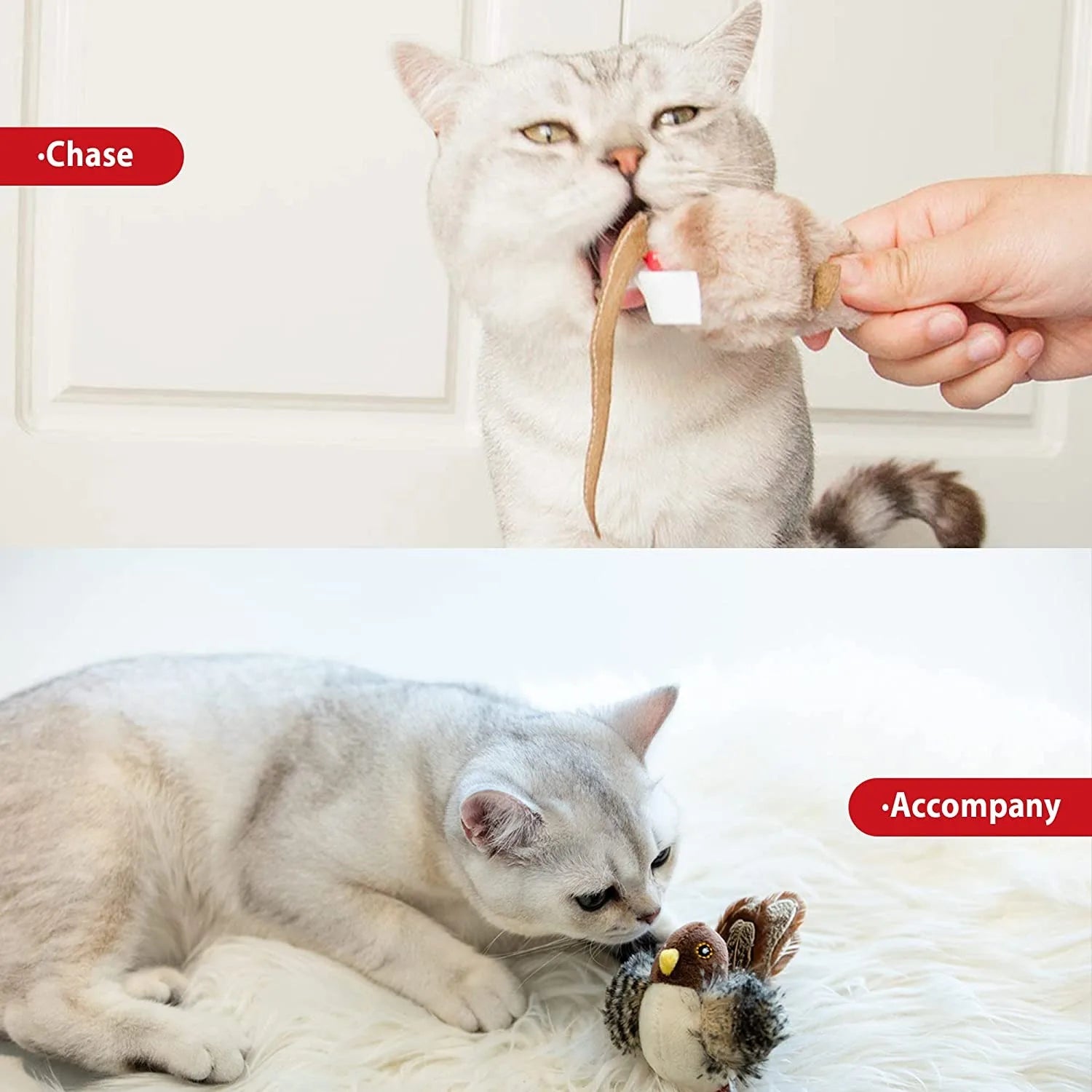 GiGwi pet Cat Toys Melody Chaser Simulate The Real Sounds of Animals Native Feather Simulation Design Interactive Toys For cat