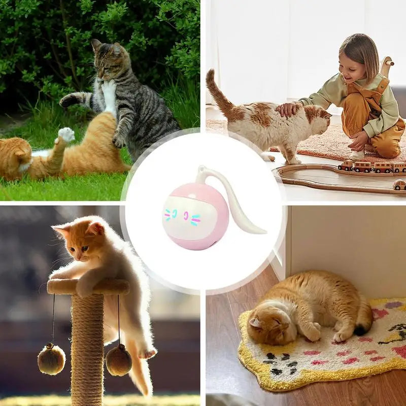 Simulated Interactive Hunting Cat Toy 2 In 1 Smart Interactive Cat Toy With Build-In Spinning LED Light 360 Degree Self Rotating