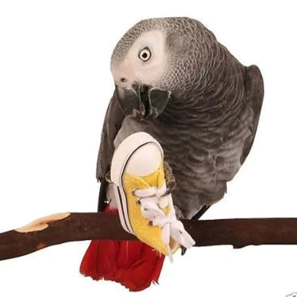 Mini Canvas Shoes Parrot Bird Toys Pet Bird Shoe Cage Decoration Standing Climbing Toy Parrot Bird Cage Pet Shoes Parrot Toys