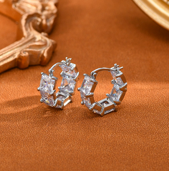Premium Geometric C-Shaped Earrings
